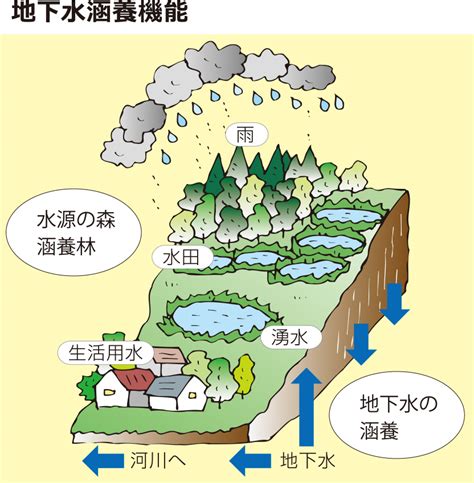 涵養水源的意思